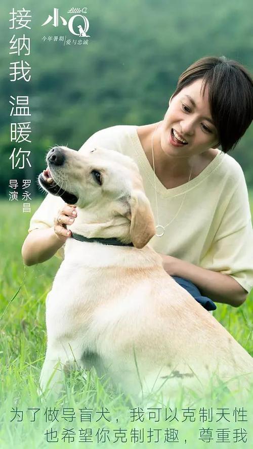 大学英语六级成绩单能不能补